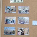 치유의 숲 | 거제치유의숲 후기 (5월, 숲에홀림 참여)