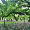 양지농장1 이미지