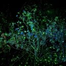 완산방-15 네이버블로그