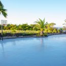 빈티지1950 이미지