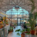 카페자연 이미지