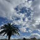 주상절리대화장실 이미지