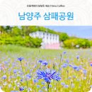 2025 / 05 /15 (목요일) 남양주 한강공원 삼패지구 수레국화 출사 합니다 이미지