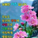 오늘도화이팅 Daum카페