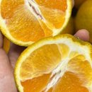 제주농장 이미지