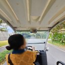 신지카서비스 | 2월 호시노야 오키나와 내돈내산 후기