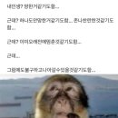 찬란한 인생 이미지