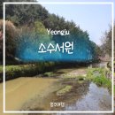 서원 | 영주 여행) 우리나라 최초의 서원, 유네스코 세계유산 — 소수서원 방문 후기