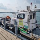 왜목마을 좌대낚시터 이미지