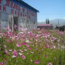 키르키즈스탄 여행기 2--- 이쉬쿨 호수(촐폰아타,카라콜) 이미지