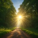 이야기79-희망 이미지