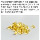 오메가뜨리