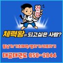 태금태권도 이미지