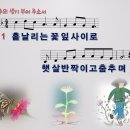 주의 생기 부어 주소서 / 흩날리는 꽃잎 사이로 [주찬양전도단 창작 15집] 이미지