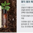 톡스헤어매직 이미지
