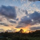 춘희목장 이미지