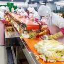 김치 도가 이미지