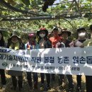 진해기술지원과(진해농업기술센터) 이미지