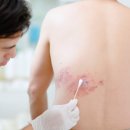 더페이지834 이미지