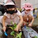 상록어린이집 이미지