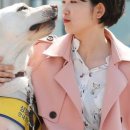 개버랜드 이미지