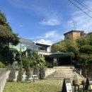 사색연희 | [연희동/ 탁트인 넓은 카페] 대화하기 좋은 식물가득 연희 카페, 사색연희