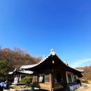 길 위에서 만나는 세계 문화 | 여주 여백서원 전영애교수 괴테마을 소풍 후기 여주가볼만한곳