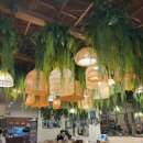 원형동로 | [목포 나나방콕] 목포 평화광장 맛집: 태국음식점 솔직후기