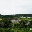 바람개비 이미지