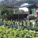 가야산칠불봉야생화마을 이미지