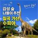 칠곡 가산 수피아 후기, 대구 근교 감성숲 나들이 추천