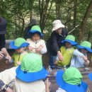 광판초병설유치원 이미지