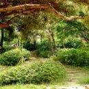 창조자연사박물관 이미지