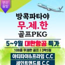 프라임항공여행사