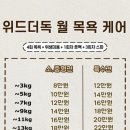 위드 더 독 이미지