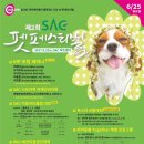 펫페스티벌