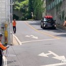 암소가