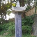 선충사 이미지