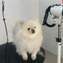 개린이살롱 이미지