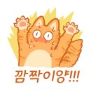 해피댕댕이 네이버블로그