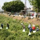 선정4리 이미지