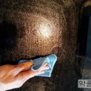그린화장품전문점 Daum카페