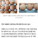 서영2농장 이미지