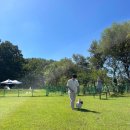 묘한쉼터 이미지