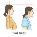 수퍼바디짐 이미지