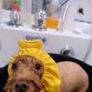 몽크의 아뜰리에 이미지