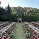 [W-1.4] 웨딩베뉴 투어기- 서울 근교 야외 예식장 제이니힐 상담 후기 (계약X)