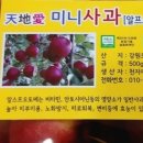 천지애협동조합 이미지