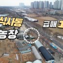 평지농장 이미지