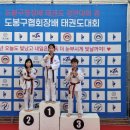 경희대라이온킹태권도 이미지